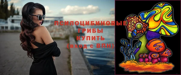 прущие крисы Надым