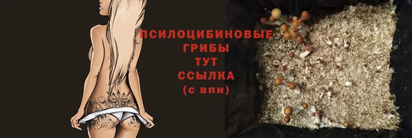 соль ск Михайловск