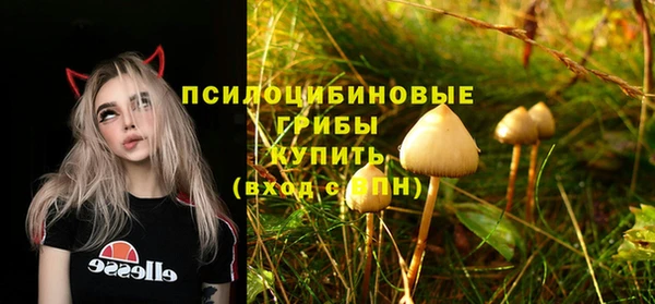 ALPHA-PVP Михайлов