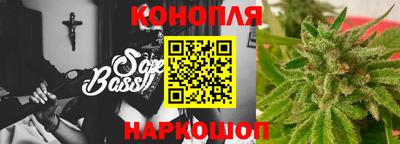 прущие крисы Будённовск