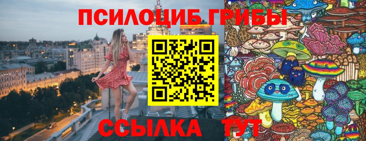 Галлюциногенные грибы Psilocybe Рязань